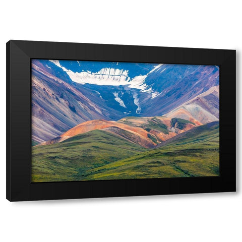 Danali National Park II Black Modern Wood Framed Art Print with Double Matting by Mahan, Kathy