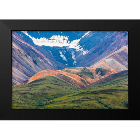 Danali National Park II Black Modern Wood Framed Art Print by Mahan, Kathy