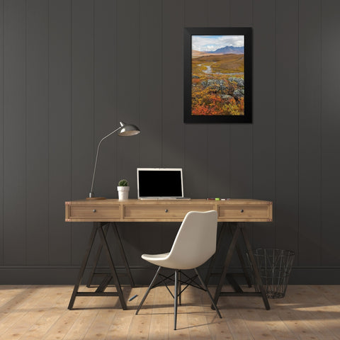 Arctic National Preserve I Black Modern Wood Framed Art Print by Mahan, Kathy