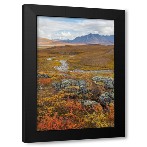 Arctic National Preserve I Black Modern Wood Framed Art Print with Double Matting by Mahan, Kathy