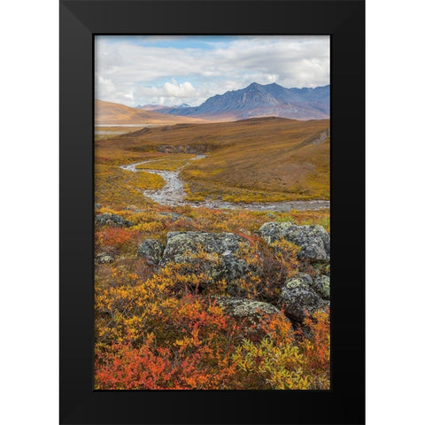 Arctic National Preserve I Black Modern Wood Framed Art Print by Mahan, Kathy