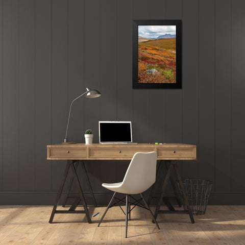 Arctic National Preserve II Black Modern Wood Framed Art Print by Mahan, Kathy
