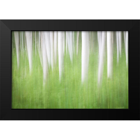 Birch in Motion Black Modern Wood Framed Art Print by Mahan, Kathy