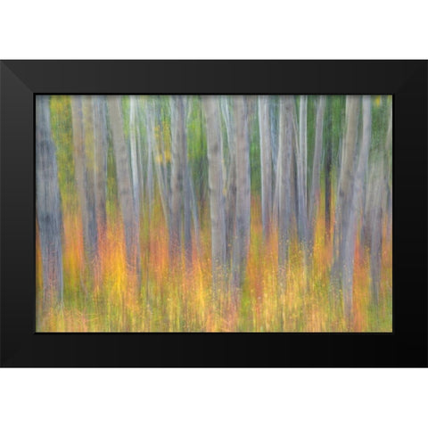 Aspen in Motion I Black Modern Wood Framed Art Print by Mahan, Kathy