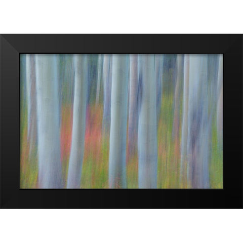 Aspen in Motion II Black Modern Wood Framed Art Print by Mahan, Kathy