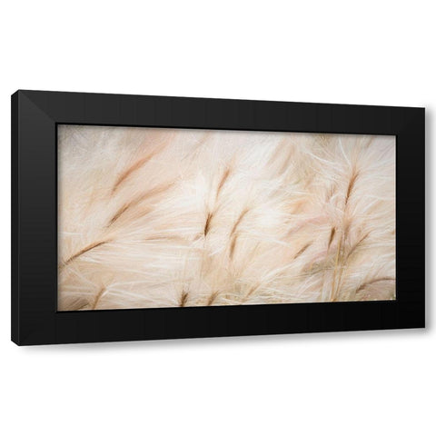 Foxtail Barley IV Black Modern Wood Framed Art Print with Double Matting by Mahan, Kathy