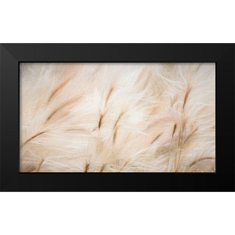 Foxtail Barley IV Black Modern Wood Framed Art Print by Mahan, Kathy