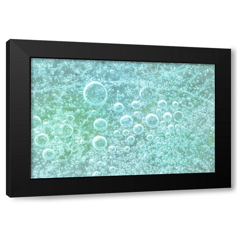 Frozen Bubbles I Black Modern Wood Framed Art Print by Mahan, Kathy