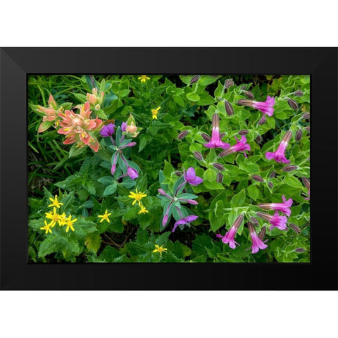 Wildflower Meadow II Black Modern Wood Framed Art Print by Mahan, Kathy