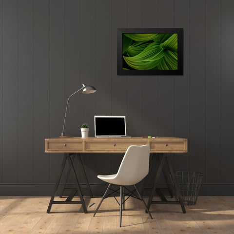 False Hellebore II Black Modern Wood Framed Art Print by Mahan, Kathy