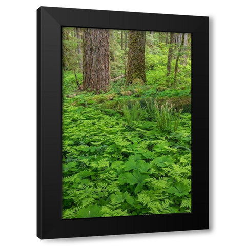 Spring in the Forest Black Modern Wood Framed Art Print with Double Matting by Mahan, Kathy