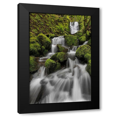 Waterfall I Black Modern Wood Framed Art Print by Mahan, Kathy