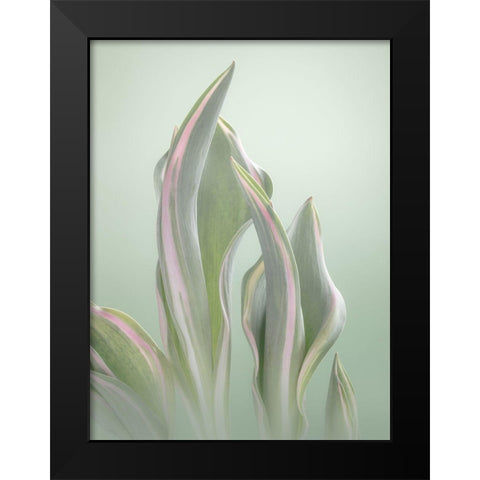 Pale Green Beginning II Black Modern Wood Framed Art Print by Mahan, Kathy