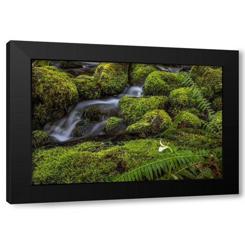 Cedar Creek Detail II Black Modern Wood Framed Art Print with Double Matting by Mahan, Kathy