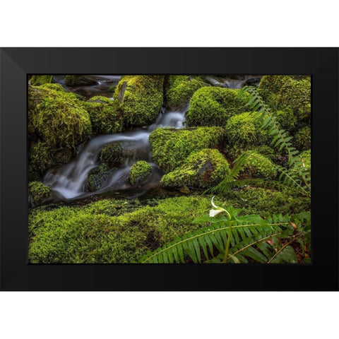 Cedar Creek Detail II Black Modern Wood Framed Art Print by Mahan, Kathy