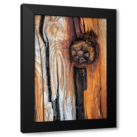 Wood Details I Black Modern Wood Framed Art Print by Mahan, Kathy