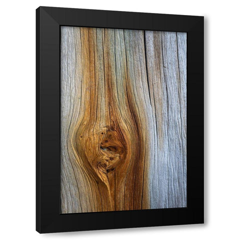 Wood Details III Black Modern Wood Framed Art Print by Mahan, Kathy