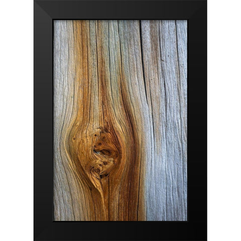 Wood Details III Black Modern Wood Framed Art Print by Mahan, Kathy