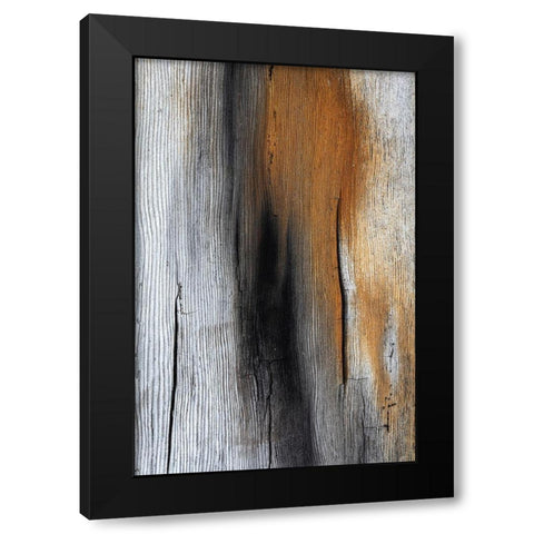 Wood Details IV Black Modern Wood Framed Art Print with Double Matting by Mahan, Kathy