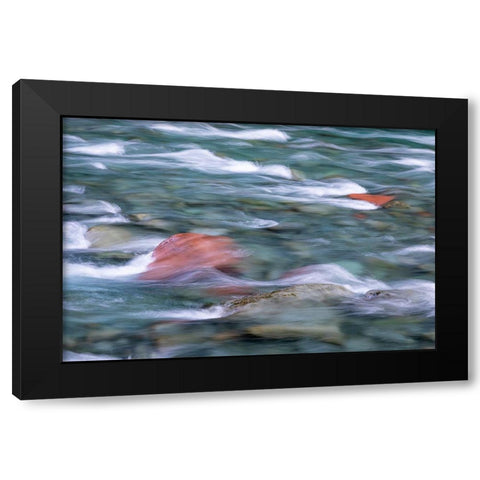 NF Skokomish River II Black Modern Wood Framed Art Print by Mahan, Kathy