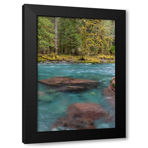 NF Skokomish River III Black Modern Wood Framed Art Print with Double Matting by Mahan, Kathy