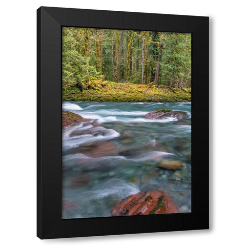 NF Skokomish River IV Black Modern Wood Framed Art Print with Double Matting by Mahan, Kathy