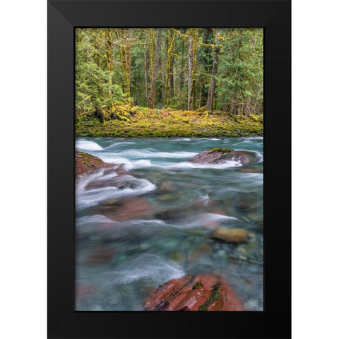 NF Skokomish River IV Black Modern Wood Framed Art Print by Mahan, Kathy
