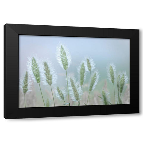 Going to Seed IV Black Modern Wood Framed Art Print by Mahan, Kathy