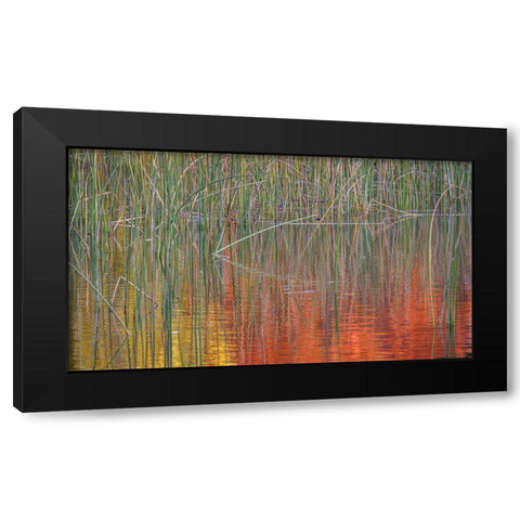 Fall Reflections I Black Modern Wood Framed Art Print with Double Matting by Mahan, Kathy
