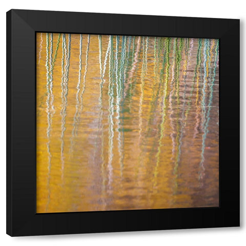 Fall Reflections III Black Modern Wood Framed Art Print with Double Matting by Mahan, Kathy