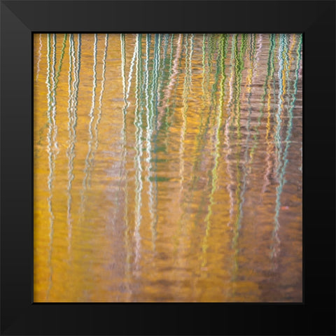Fall Reflections III Black Modern Wood Framed Art Print by Mahan, Kathy