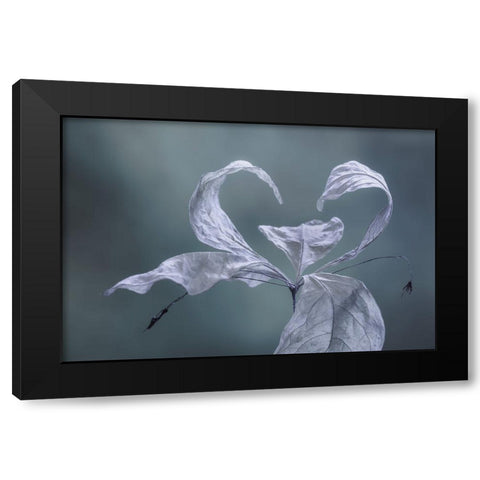 Western Starflower II Black Modern Wood Framed Art Print by Mahan, Kathy