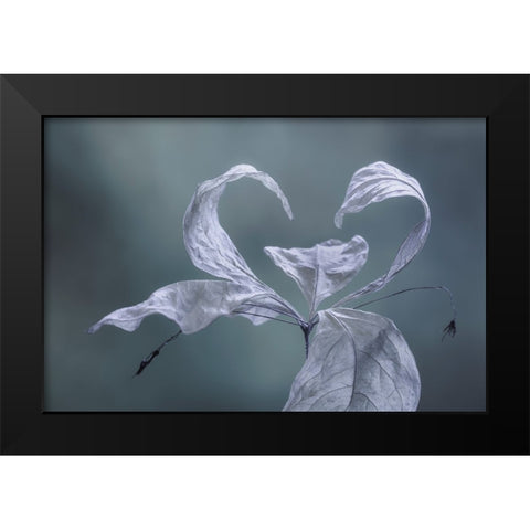 Western Starflower II Black Modern Wood Framed Art Print by Mahan, Kathy