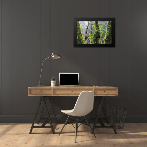 Licorice Ferns II Black Modern Wood Framed Art Print by Mahan, Kathy