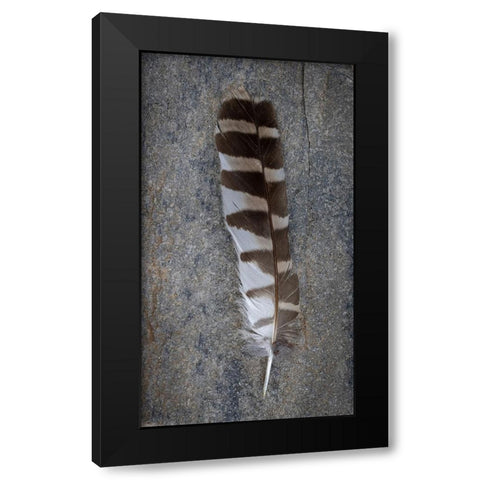 Feather Portrait II Black Modern Wood Framed Art Print by Mahan, Kathy