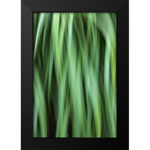 Grass Abstract Black Modern Wood Framed Art Print by Mahan, Kathy