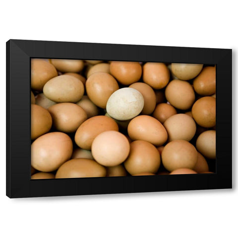 Eggs II Black Modern Wood Framed Art Print by Millet, Karyn