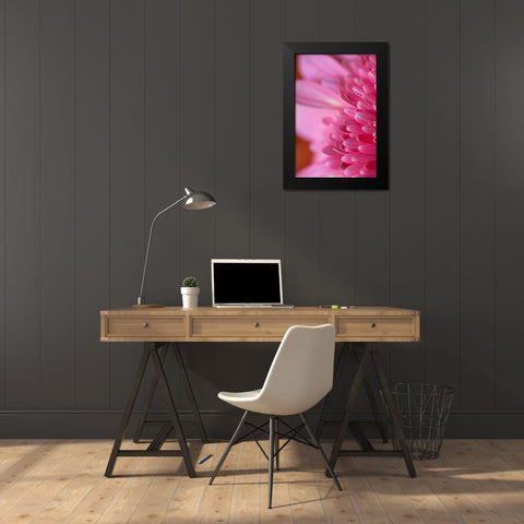 Pink Morning Black Modern Wood Framed Art Print by Millet, Karyn
