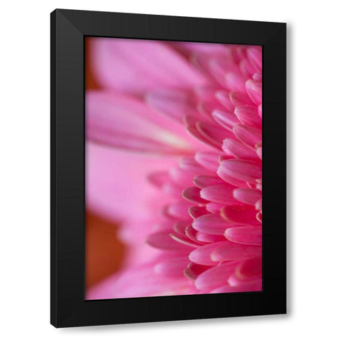 Pink Morning Black Modern Wood Framed Art Print with Double Matting by Millet, Karyn