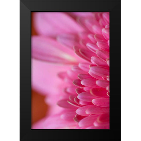 Pink Morning Black Modern Wood Framed Art Print by Millet, Karyn