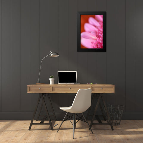 Pink Afternoon Black Modern Wood Framed Art Print by Millet, Karyn