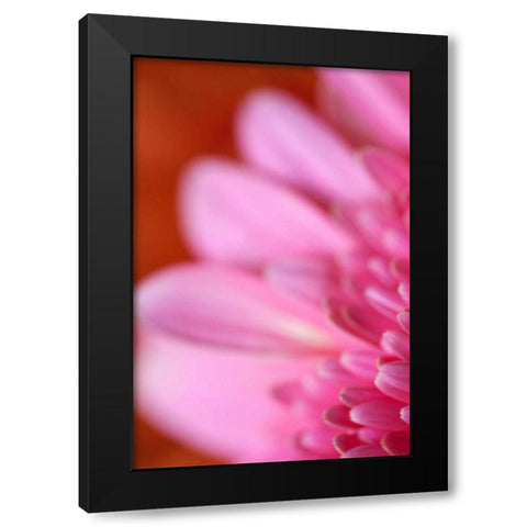Pink Afternoon Black Modern Wood Framed Art Print by Millet, Karyn