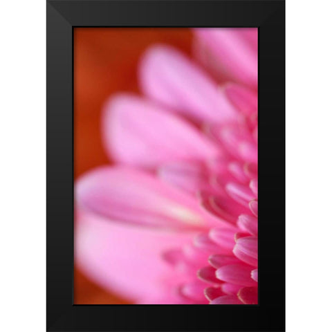 Pink Afternoon Black Modern Wood Framed Art Print by Millet, Karyn