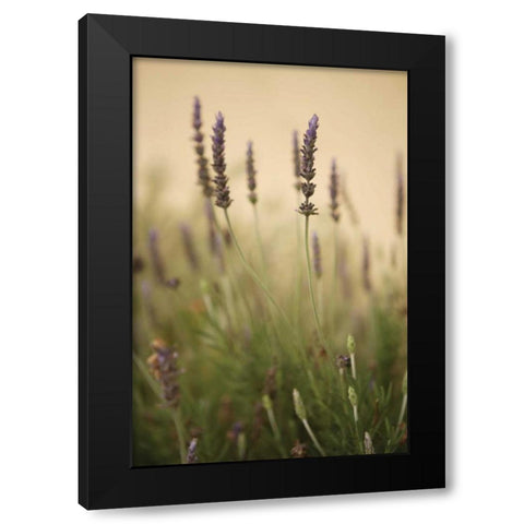 Lavender I Black Modern Wood Framed Art Print by Millet, Karyn