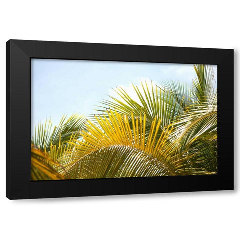Palms at Noon Black Modern Wood Framed Art Print by Millet, Karyn