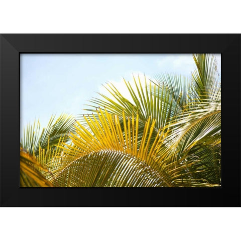 Palms at Noon Black Modern Wood Framed Art Print by Millet, Karyn