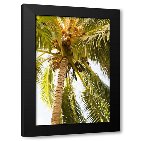 Beach Palm I Black Modern Wood Framed Art Print by Millet, Karyn