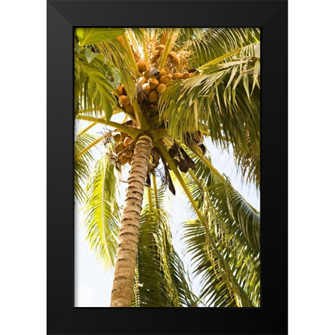 Beach Palm I Black Modern Wood Framed Art Print by Millet, Karyn
