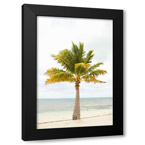 Beach Palm II Black Modern Wood Framed Art Print by Millet, Karyn