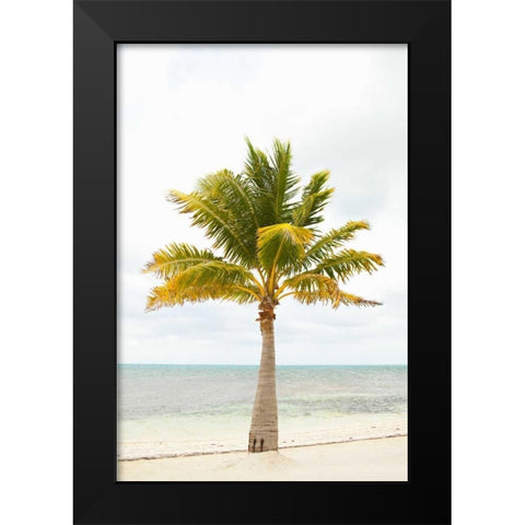 Beach Palm II Black Modern Wood Framed Art Print by Millet, Karyn